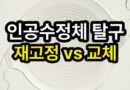 인공수정체 아탈구 접근법: 재고정 vs 교체