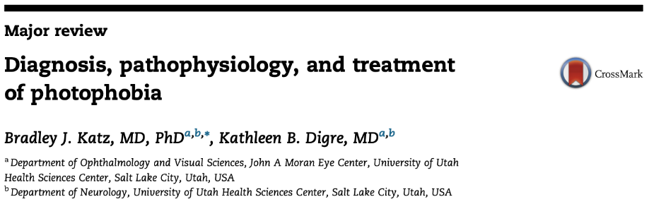 눈부심의 진단, 치료, 병태생리 - 논문 리뷰