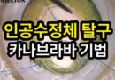 공막고정술 : 카나브라바 테크닉 (Four-Flanged Intrascleral IOL Fixation)