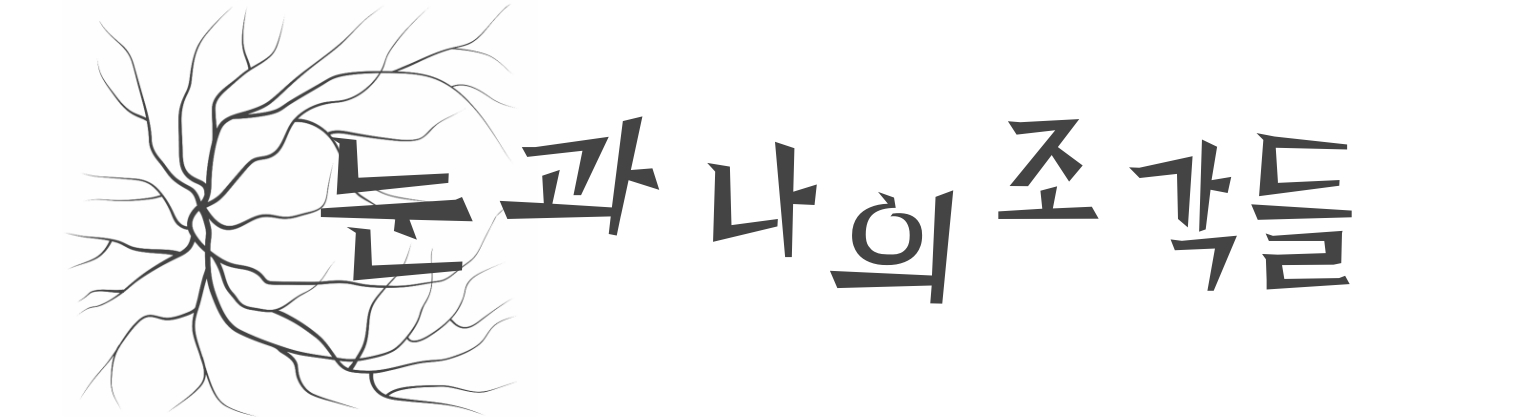 눈과 나의 조각들 – 안과 전문의 송한의 Blog