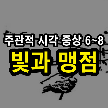 주관적 시각 증상 6,7,8 – 빛과 맹점